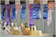 Fleece Show Awards