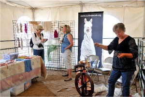 Festival Booth